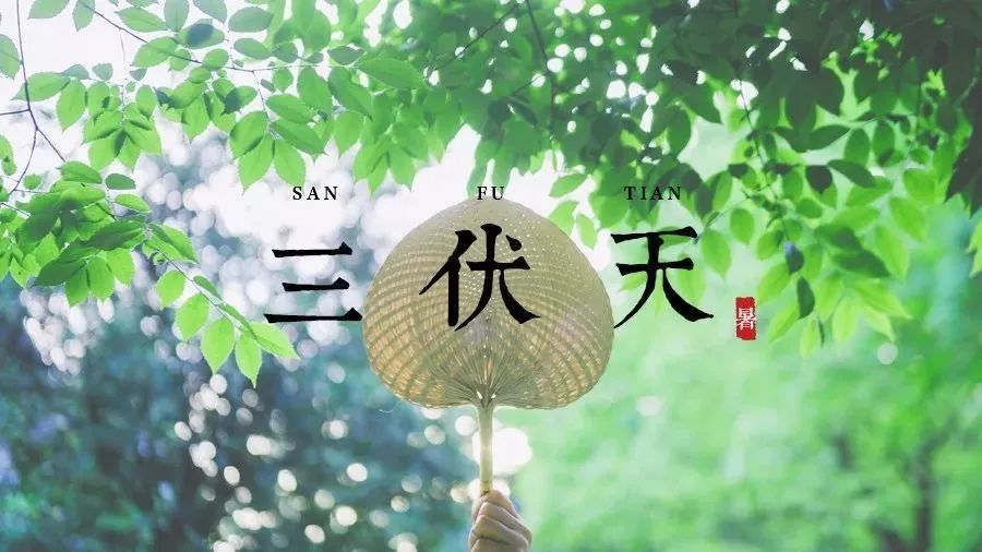 冬病夏治正当时 阜阳民生医院 “三伏贴”今日开贴